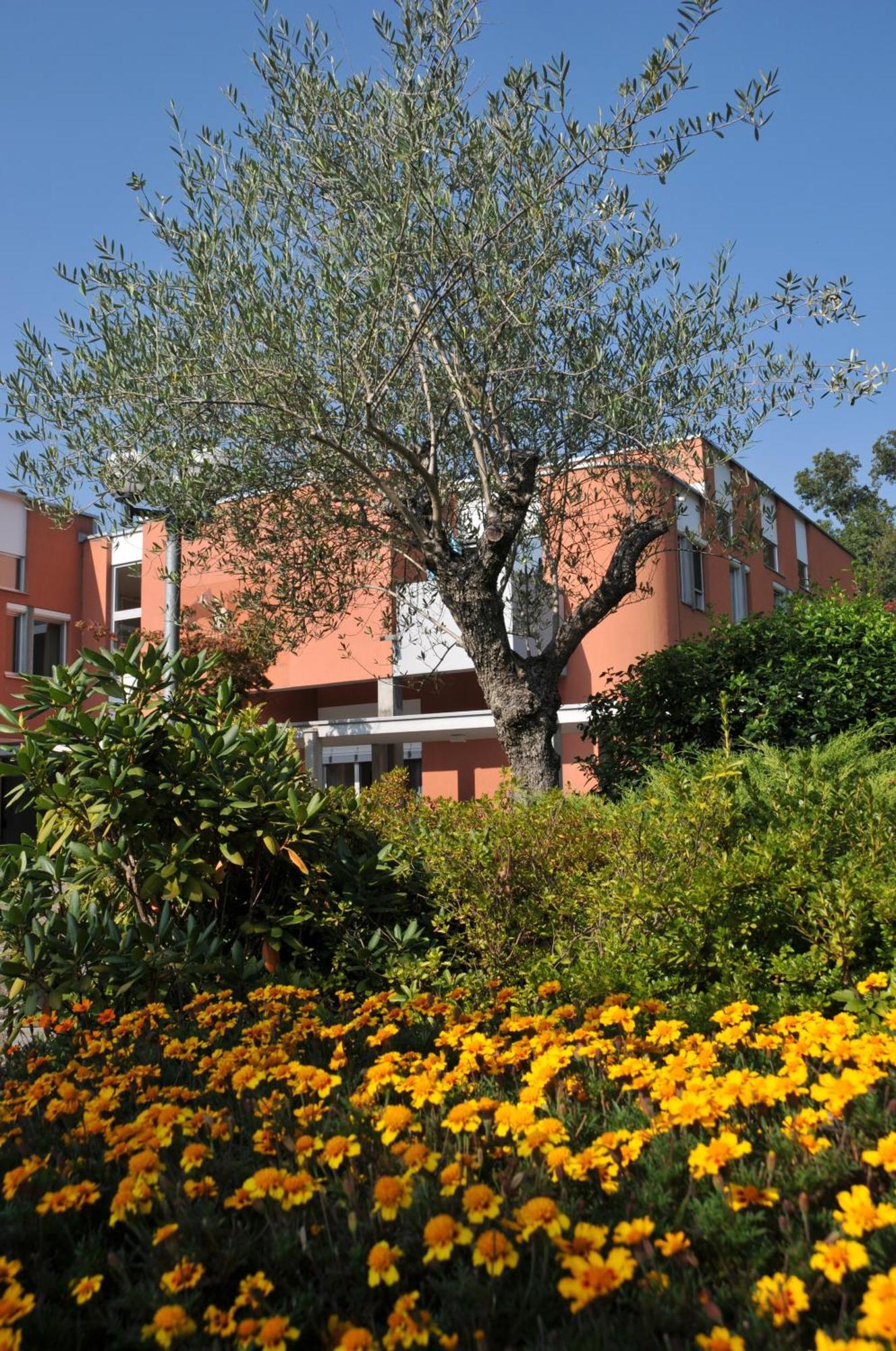 Centro Magliaso Hotel Exterior foto